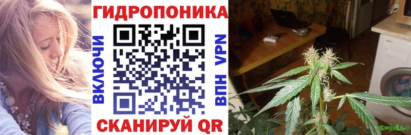 Каннабис AK-47 Елизаветинская